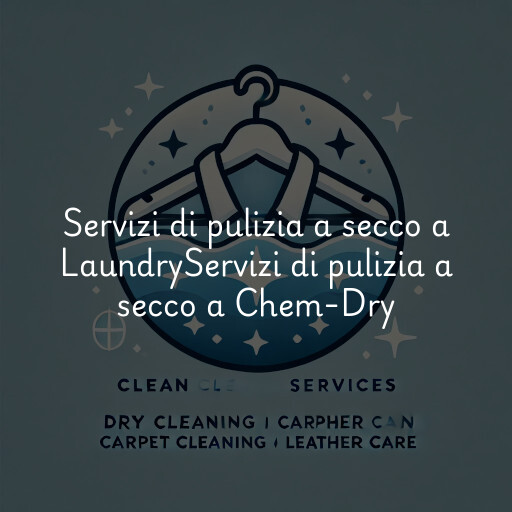 Servizi di pulizia a secco a