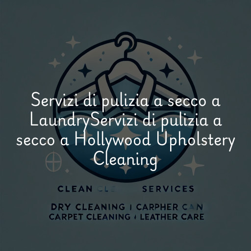 Servizi di pulizia a secco a