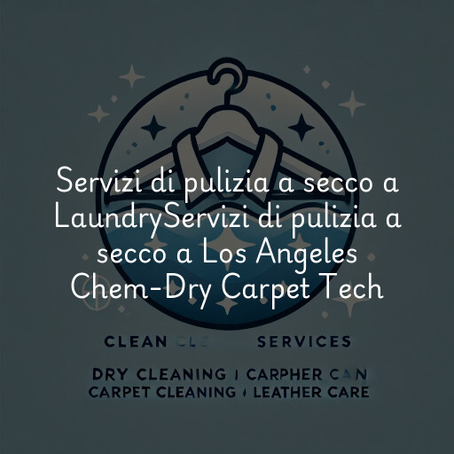 Servizi di pulizia a secco a