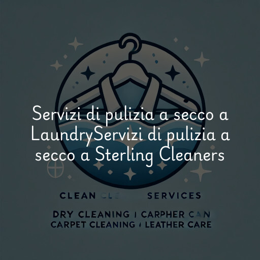 Servizi di pulizia a secco a