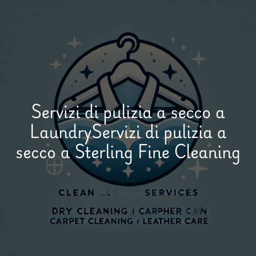 Servizi di pulizia a secco a