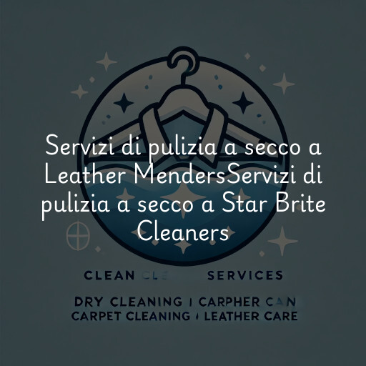 Servizi di pulizia a secco a