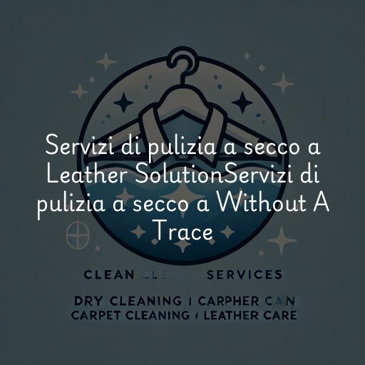 Servizi di pulizia a secco a