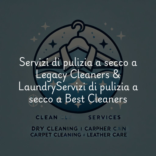 Servizi di pulizia a secco a