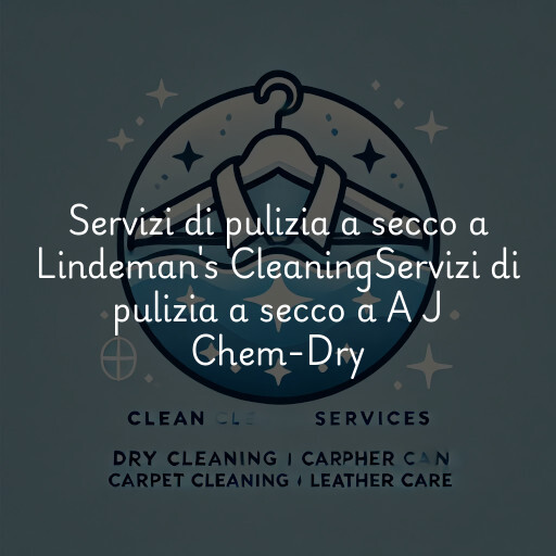 Servizi di pulizia a secco a