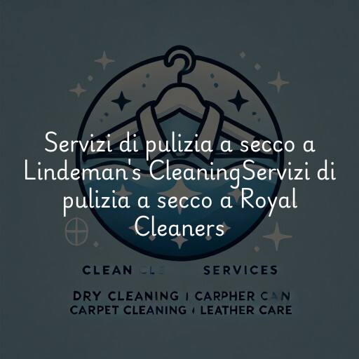 Servizi di pulizia a secco a