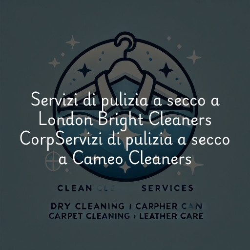 Servizi di pulizia a secco a