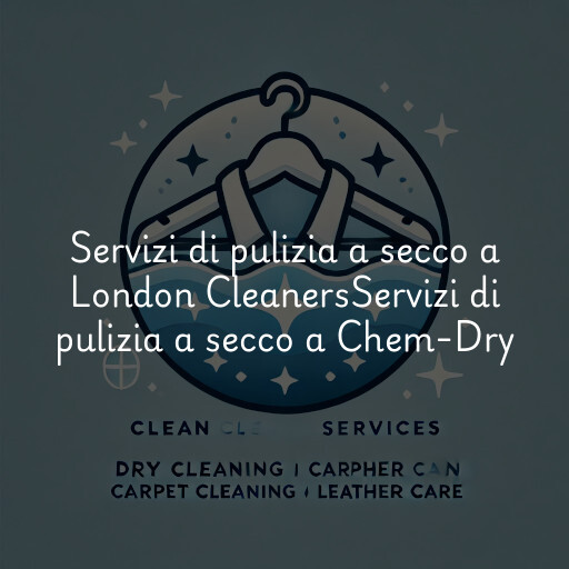 Servizi di pulizia a secco a