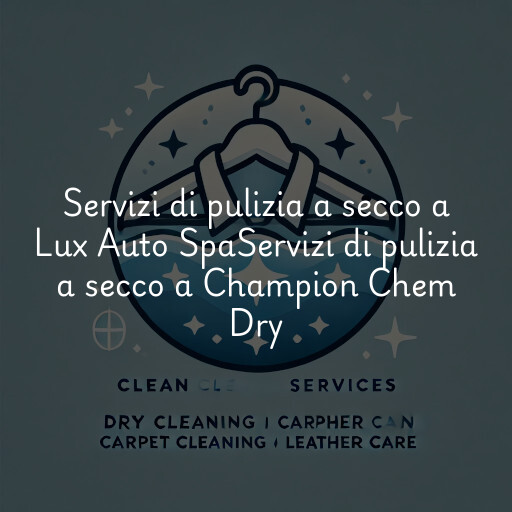 Servizi di pulizia a secco a