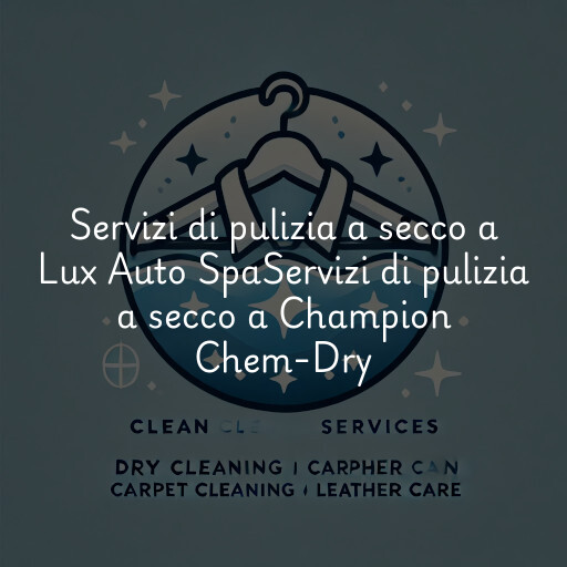 Servizi di pulizia a secco a