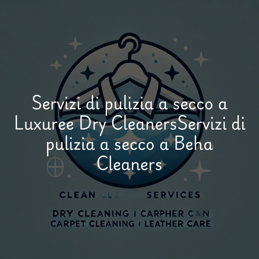 Servizi di pulizia a secco a