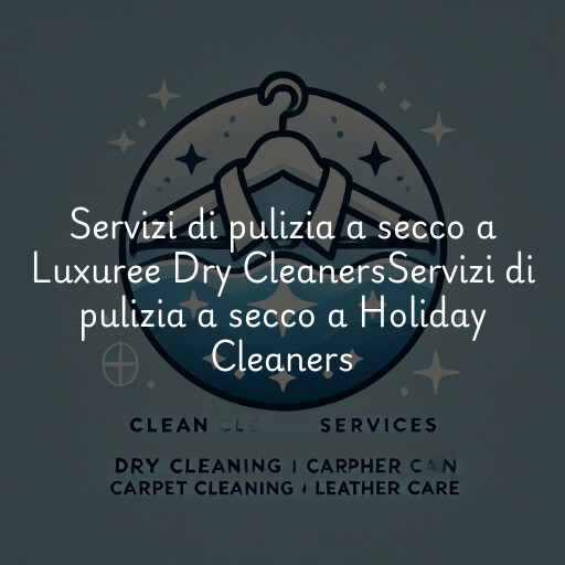 Servizi di pulizia a secco a