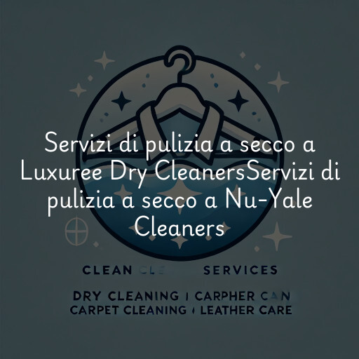 Servizi di pulizia a secco a