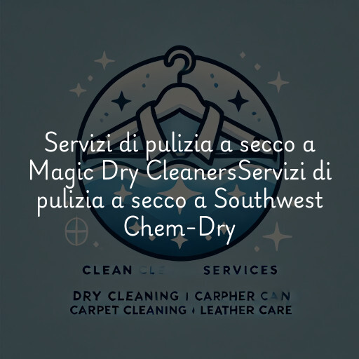 Servizi di pulizia a secco a