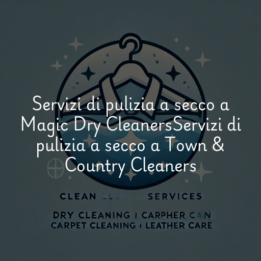 Servizi di pulizia a secco a