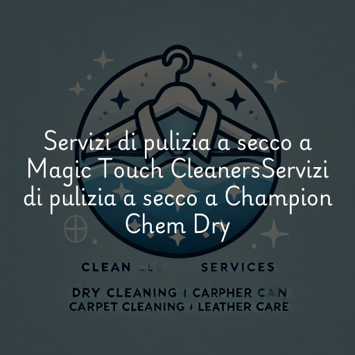 Servizi di pulizia a secco a