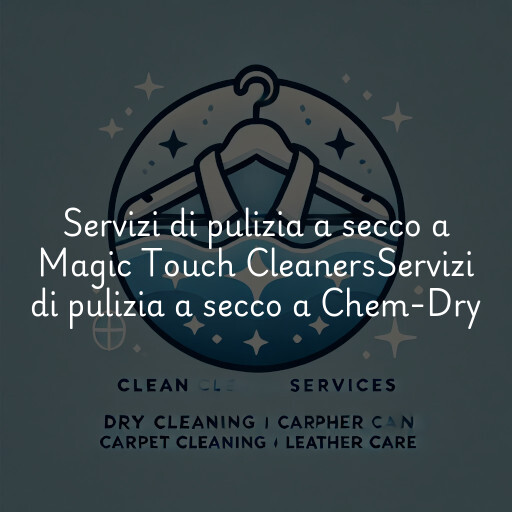 Servizi di pulizia a secco a