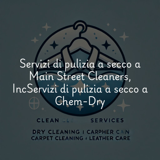 Servizi di pulizia a secco a