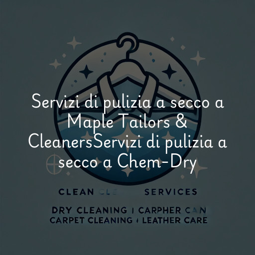 Servizi di pulizia a secco a