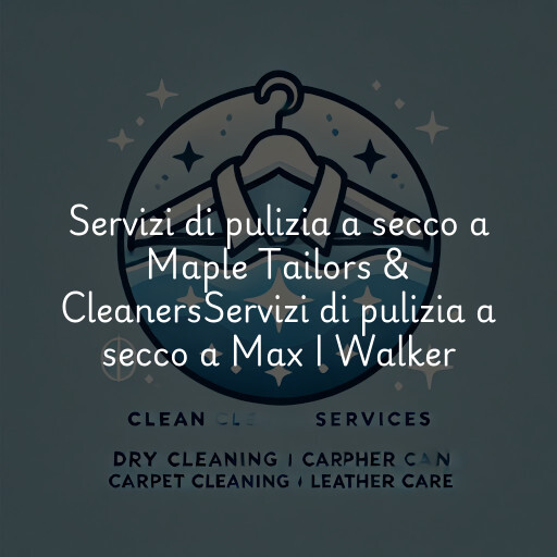 Servizi di pulizia a secco a