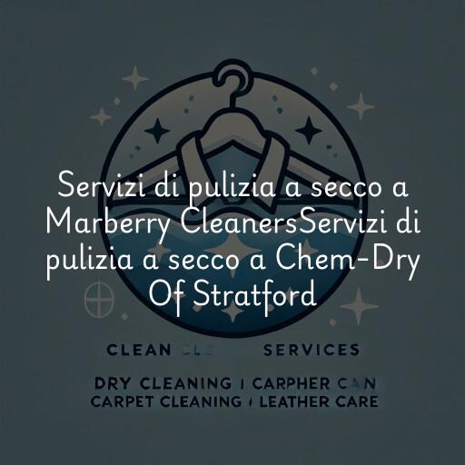 Servizi di pulizia a secco a