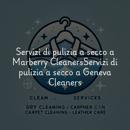 Servizi di pulizia a secco a