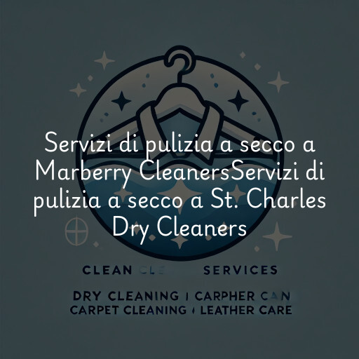 Servizi di pulizia a secco a