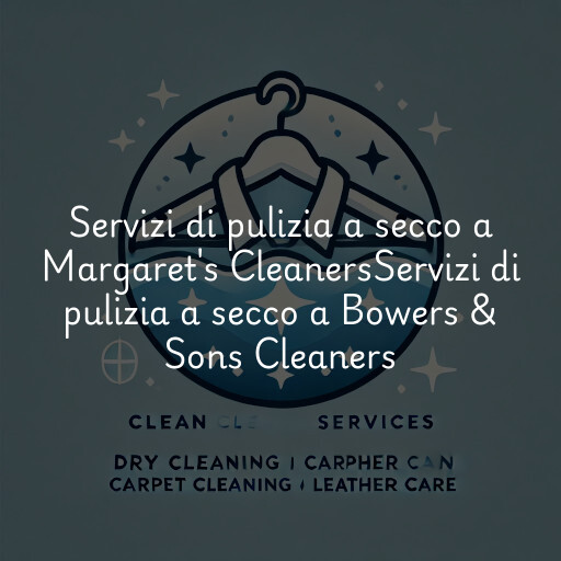 Servizi di pulizia a secco a