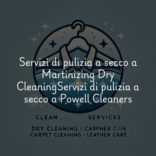 Servizi di pulizia a secco a