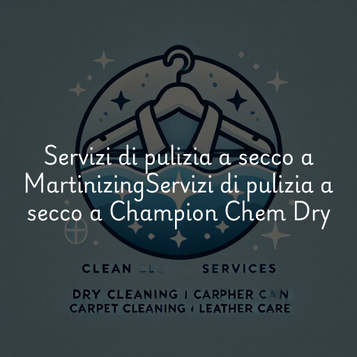 Servizi di pulizia a secco a