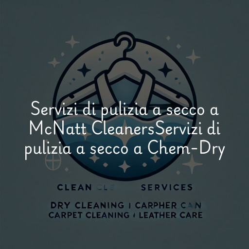 Servizi di pulizia a secco a