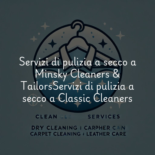 Servizi di pulizia a secco a