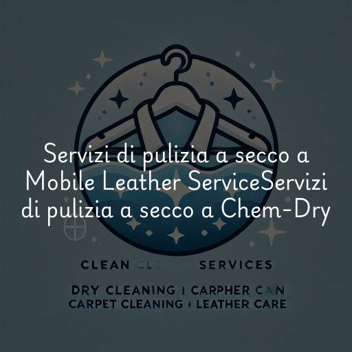 Servizi di pulizia a secco a