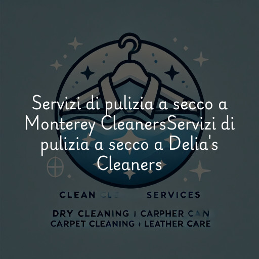 Servizi di pulizia a secco a
