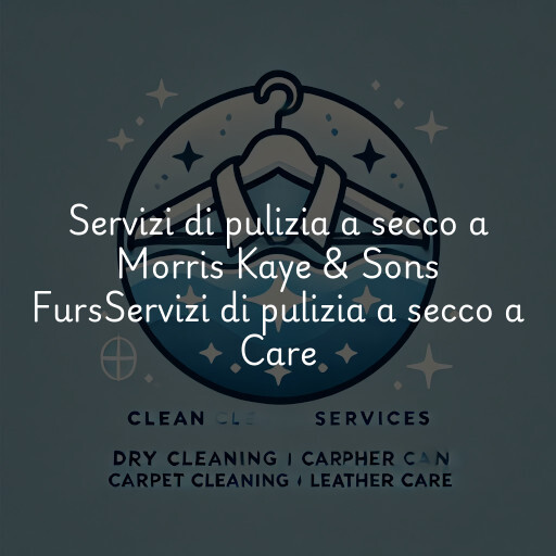 Servizi di pulizia a secco a