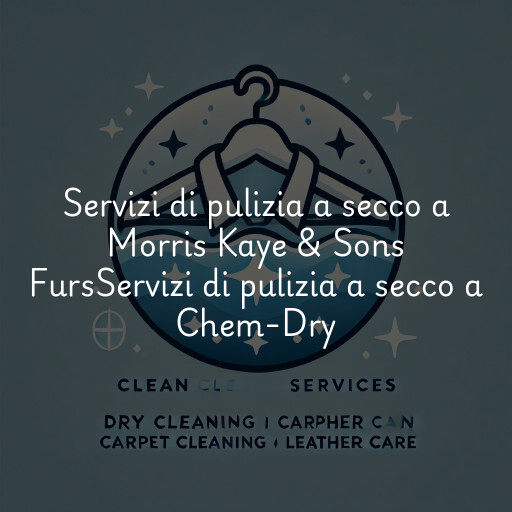 Servizi di pulizia a secco a