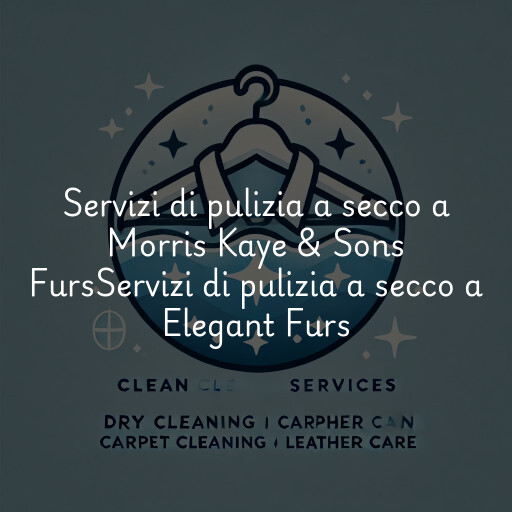 Servizi di pulizia a secco a