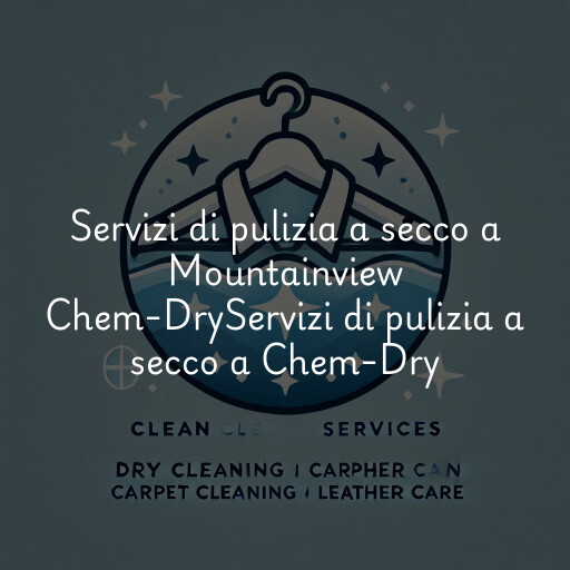 Servizi di pulizia a secco a