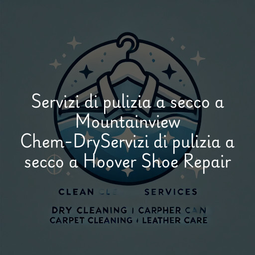 Servizi di pulizia a secco a