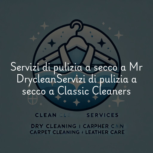 Servizi di pulizia a secco a