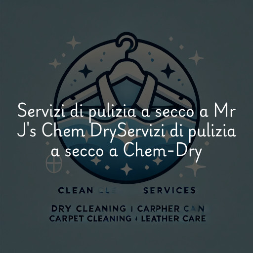 Servizi di pulizia a secco a