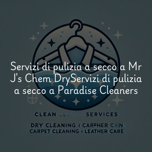 Servizi di pulizia a secco a