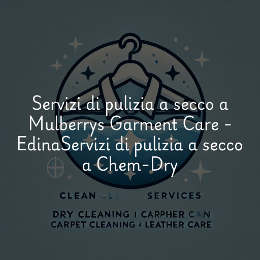 Servizi di pulizia a secco a