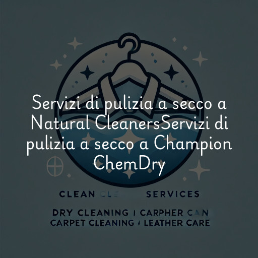 Servizi di pulizia a secco a