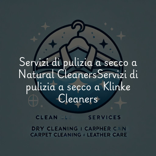 Servizi di pulizia a secco a