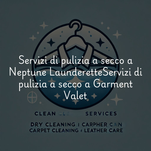 Servizi di pulizia a secco a