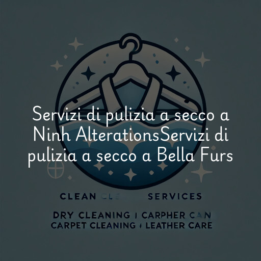 Servizi di pulizia a secco a