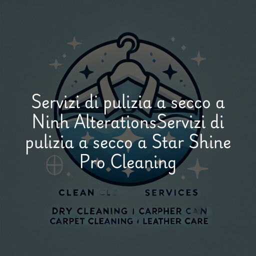 Servizi di pulizia a secco a
