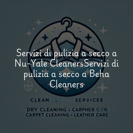 Servizi di pulizia a secco a