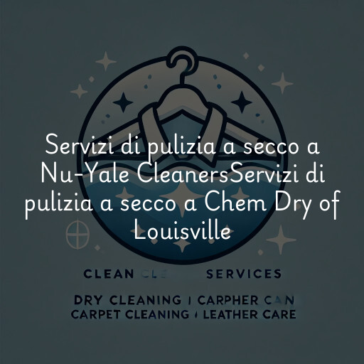 Servizi di pulizia a secco a